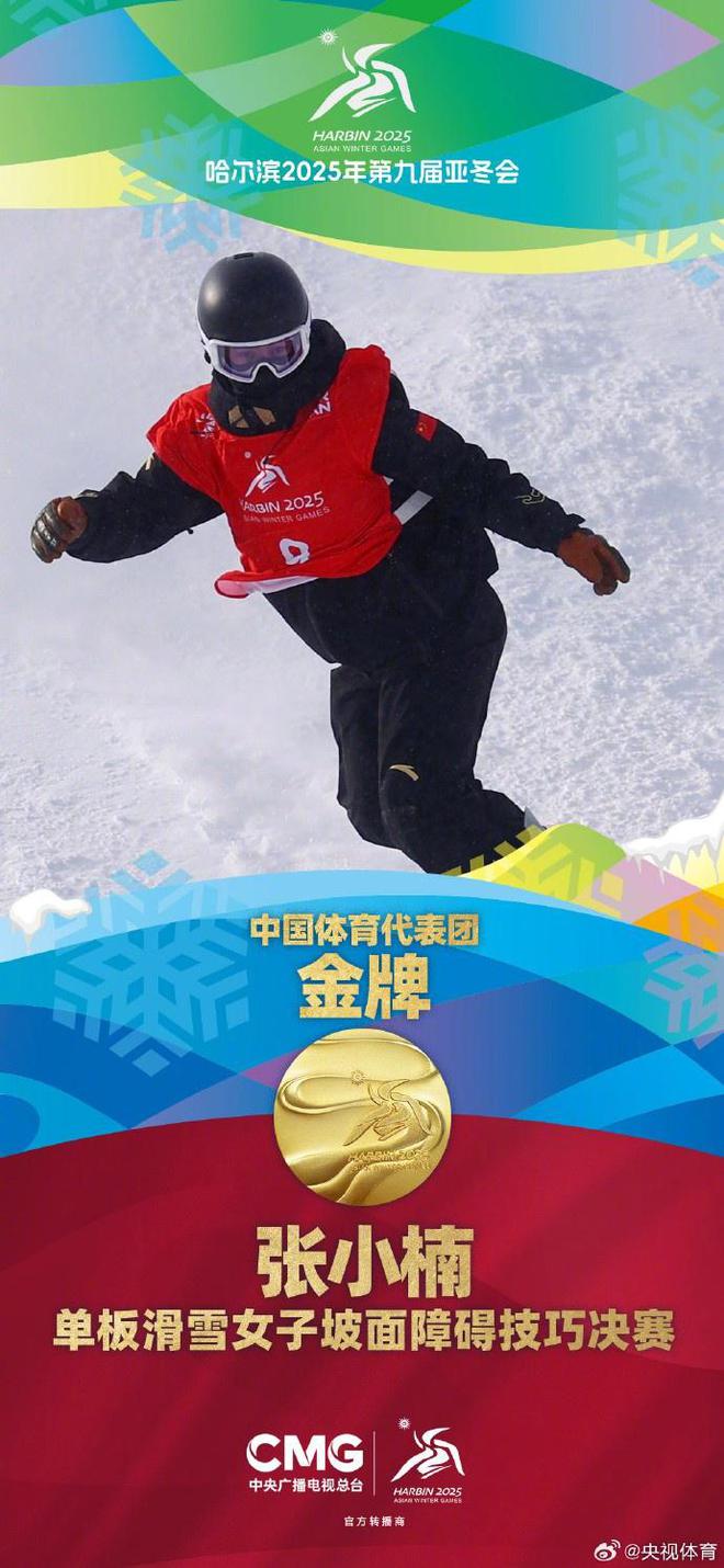 包含奥地利滑雪选手屡获佳绩，成就辉煌的词条