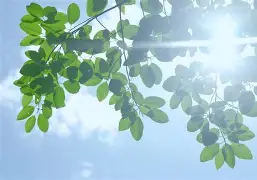 爱游戏入口-空切突破变向抢点得分精彩可期