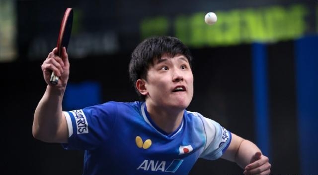 爱游戏在线-奥地利队碾压波兰队，张本智和统治全场的简单介绍