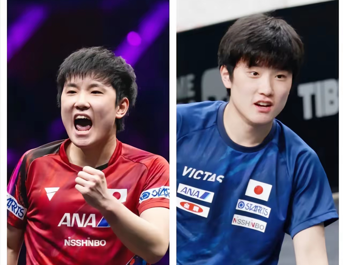 奥地利队碾压波兰队，张本智和统治全场的简单介绍