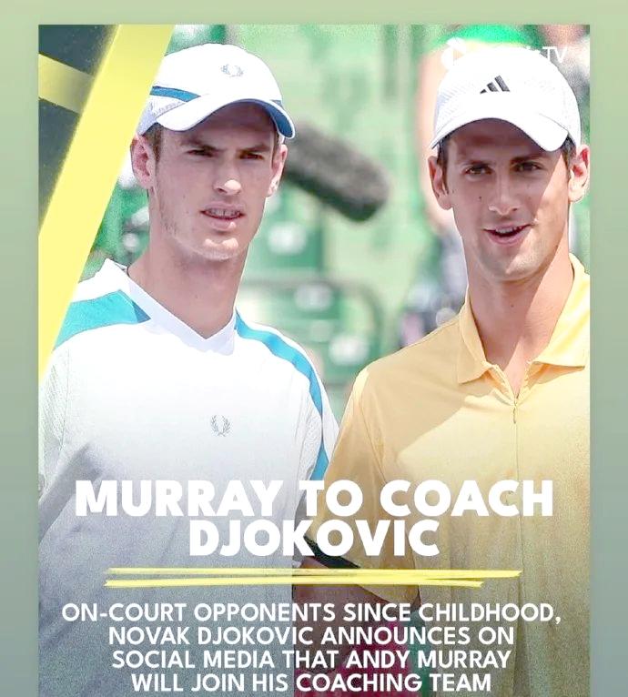 戴维斯杯横扫法网，穆雷带队取胜的简单介绍