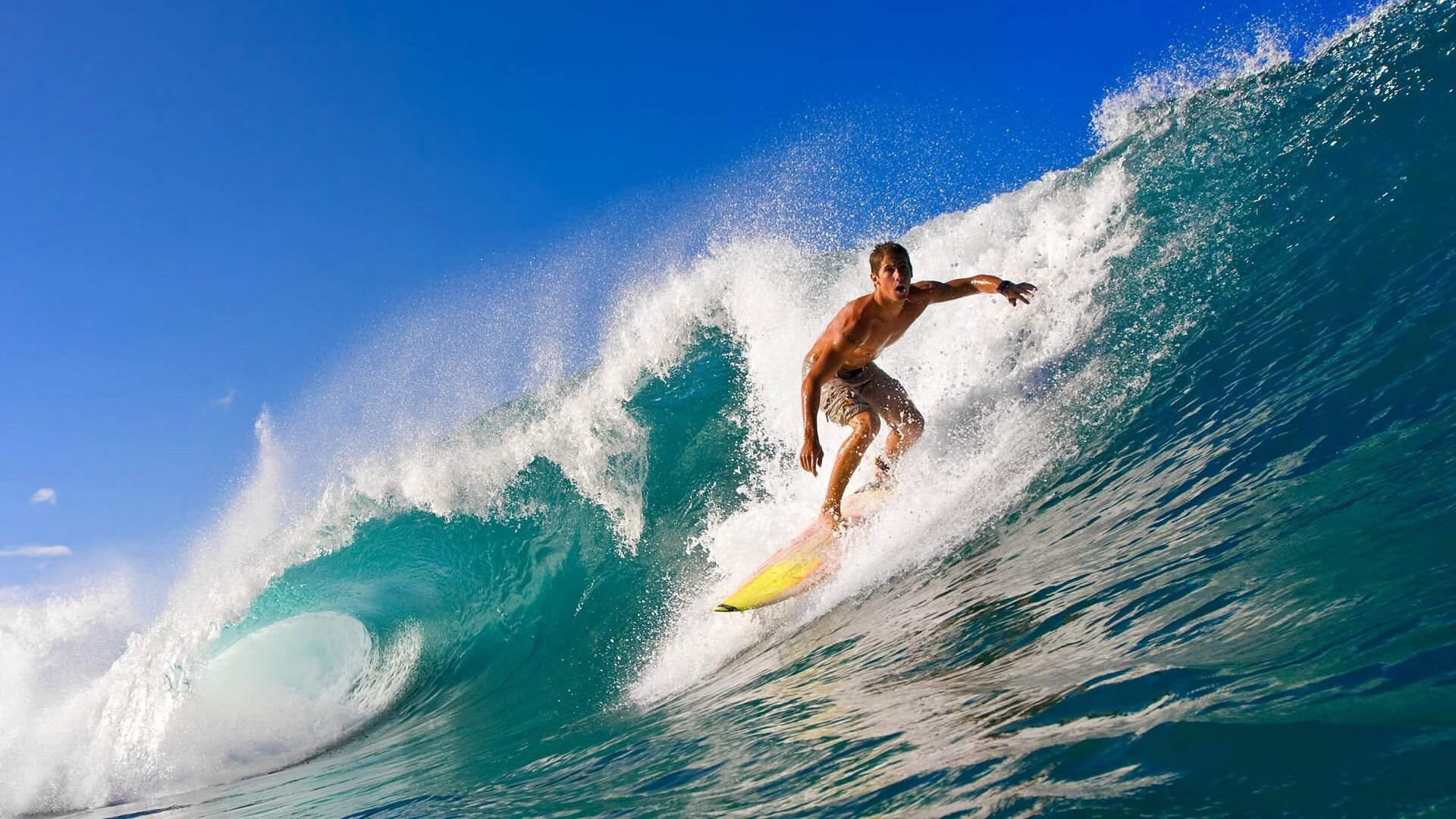 点燃，蒂姆与那记载入史册的ATP总决赛绝杀